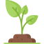 Tree Planting